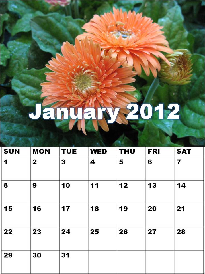 january 2012. pictures, January
