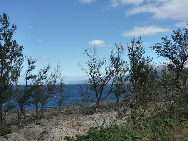 [P1020159.JPG]