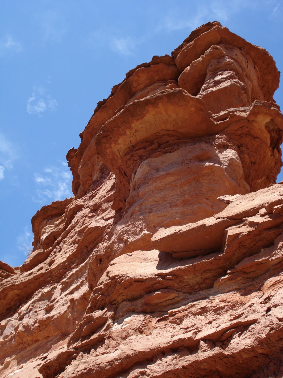 [Projecto+Dino+078.jpg]