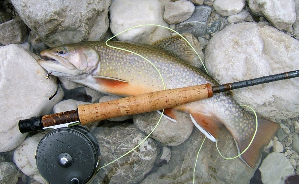 opax flyfishing Fly Fishing Art