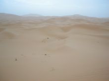 [deserto_1.jpg]