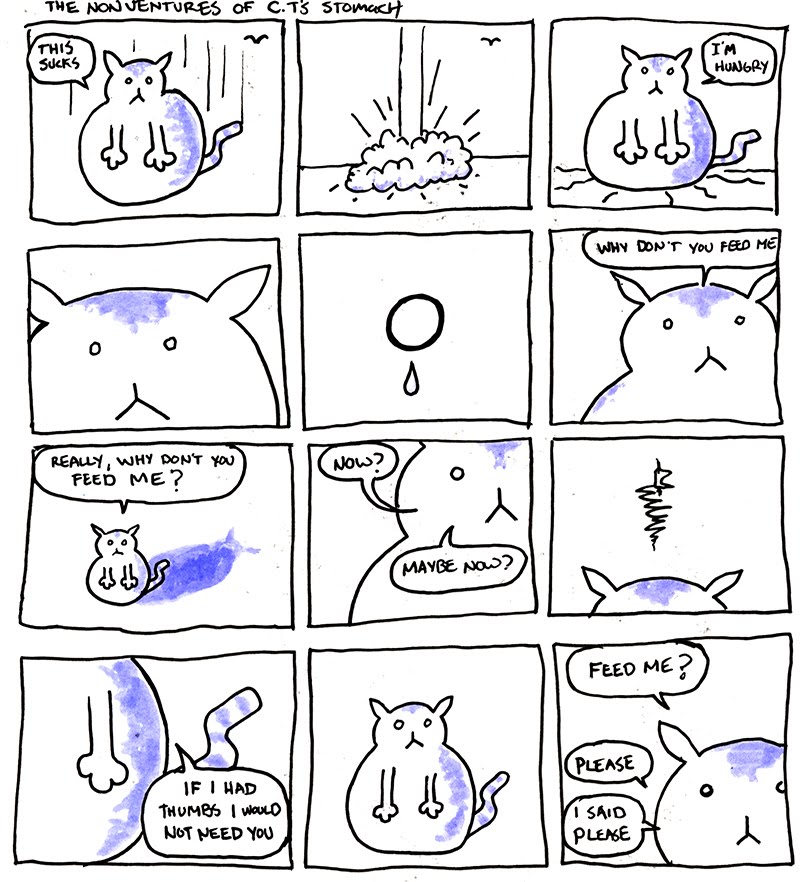 [CTtheCat.jpg]