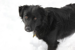 Welcome to the Winter Games