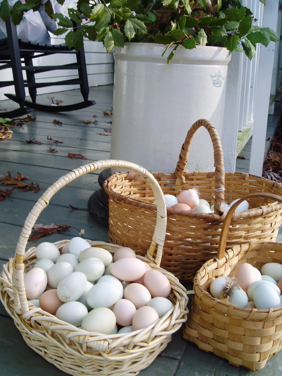 Delicious Rich Heirloom Breed Hen Eggs