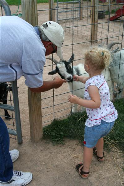 [dad+and+kati+feeding+goats+(Medium).jpg]