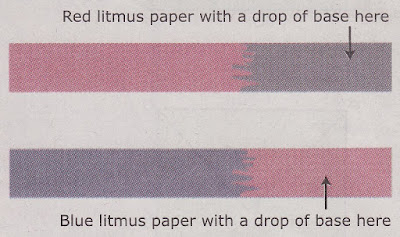 Blue Litmus Paper