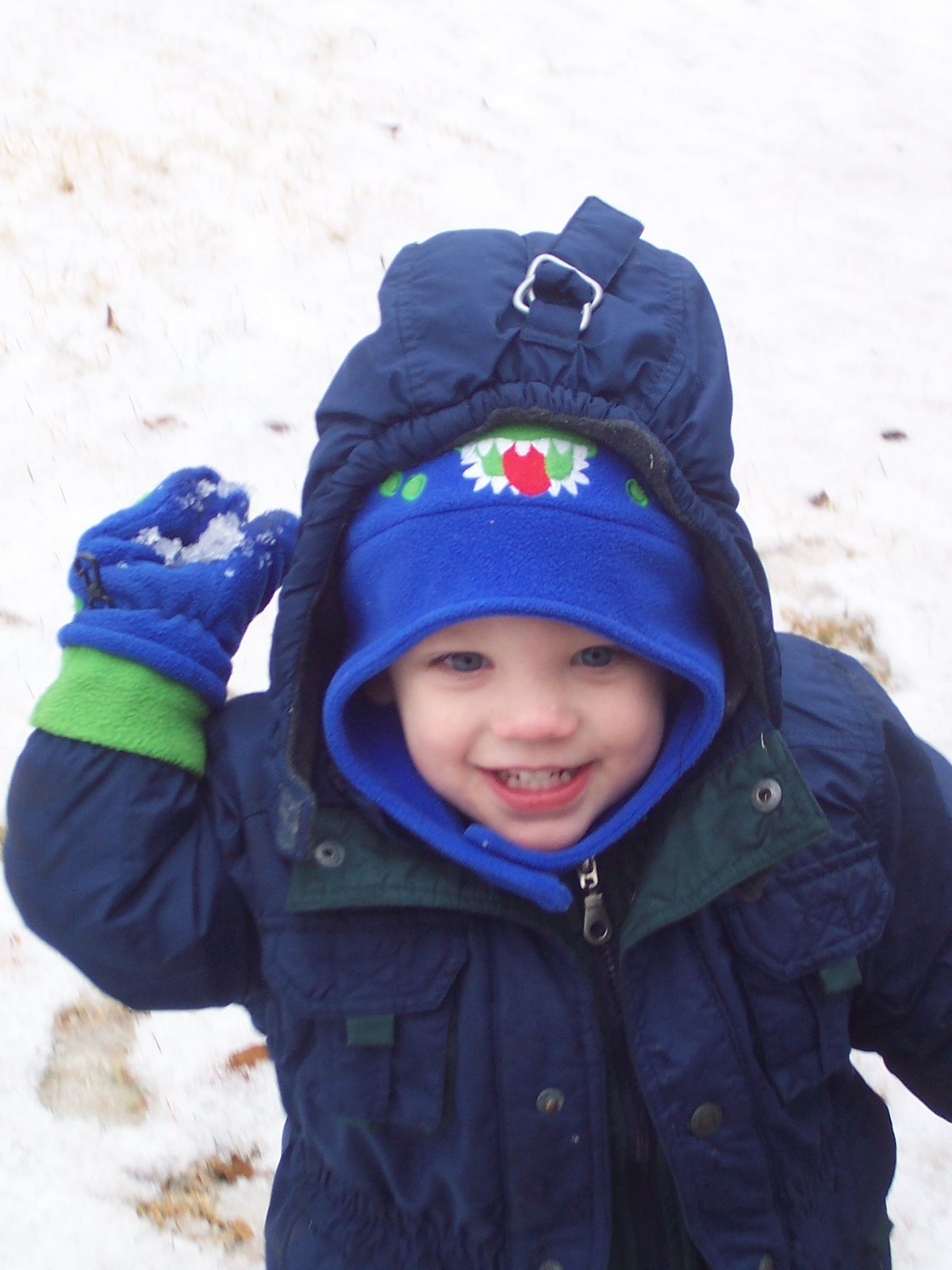 [20080117-1647.JPG]
