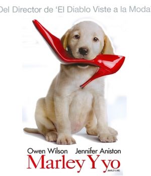 [marle-y-yo--300x350.jpg]