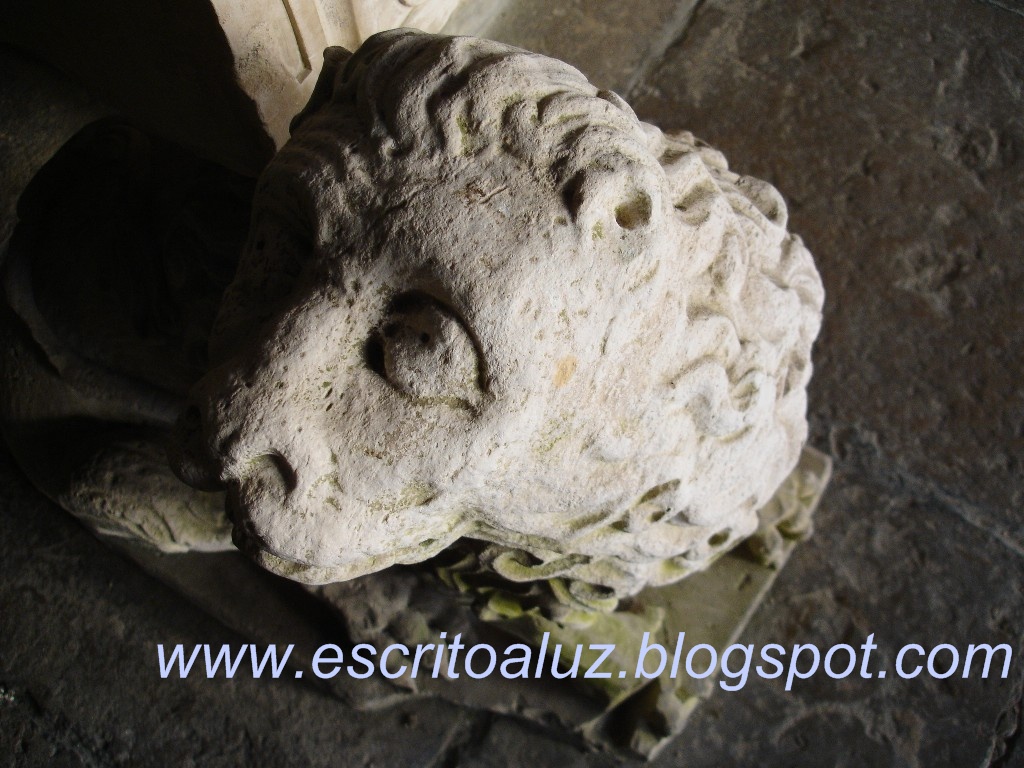[DSC00139.JPG]
