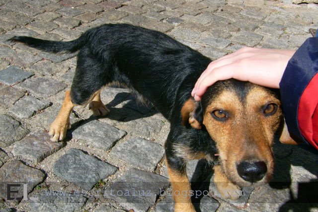 [tactosp08_0721_vEAL.jpg]