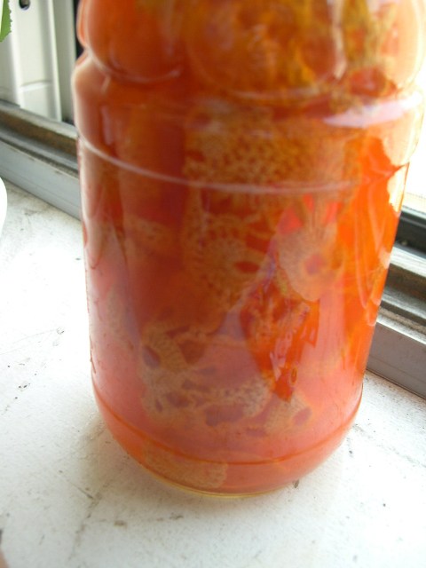 [doily+submerged.JPG]