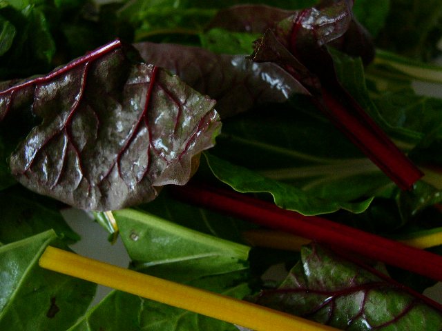[chard+chopped.JPG]