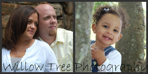Willow Tree Photography