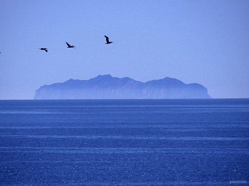 [Isla+-+Pablokino.jpg]