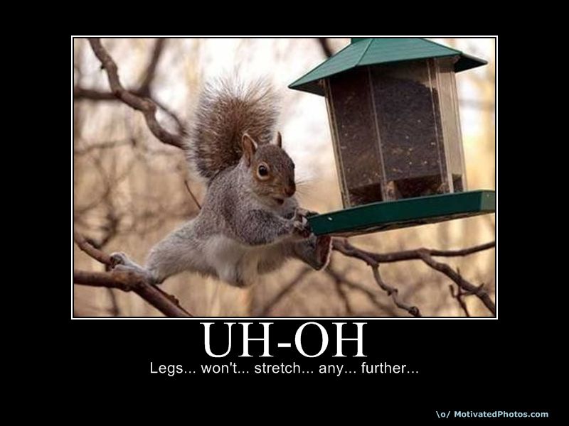 uh+oh+-+squirrel+stretching.jpg