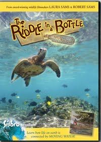 [riddle+in+a+bottle]