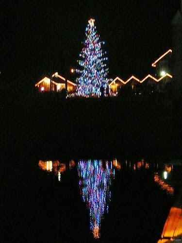 [Gig+Harbor+Tre+Lighting]