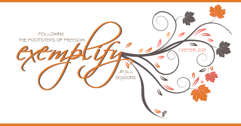 Exemplify
