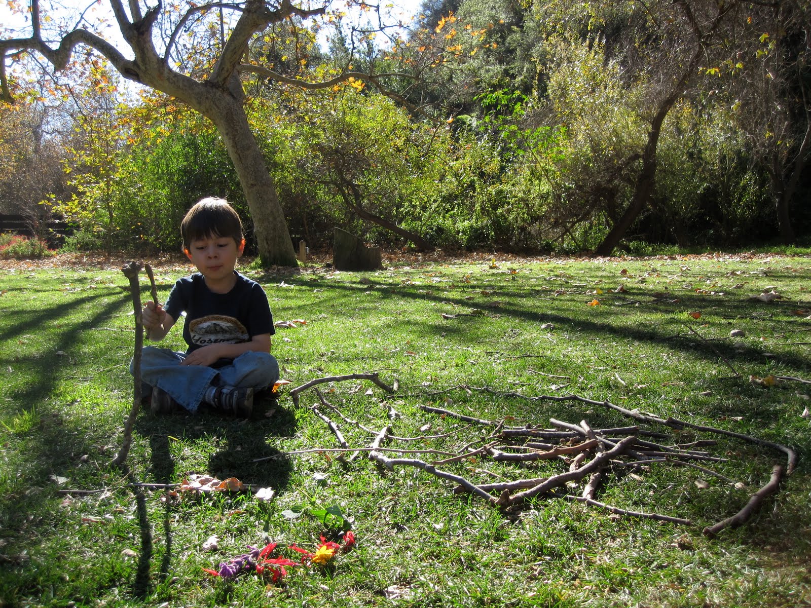 [Temescal-Gateway-Park-Sticks.JPG]