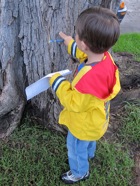 Touching tree bark