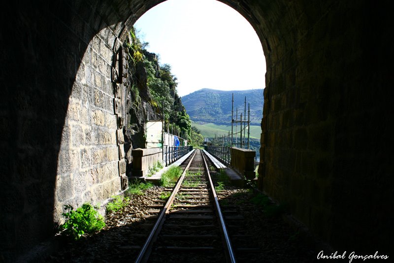 [viadpre02.jpg]