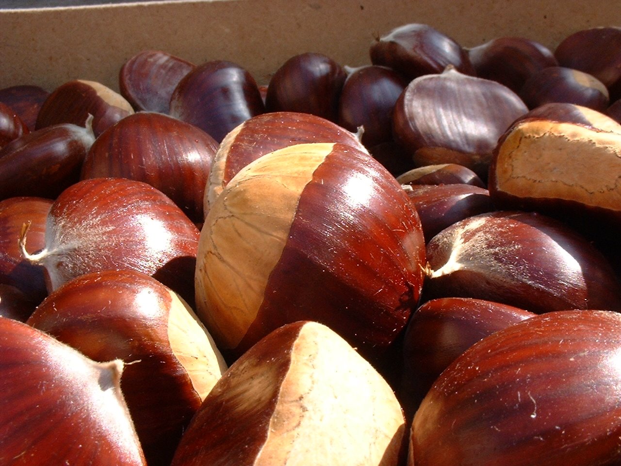 [châtaignes+ou+marrons.jpg]