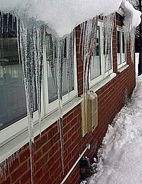 [IMG00199-20100108-1313.jpg]