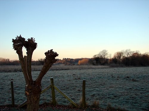 [DSC05641.JPG]