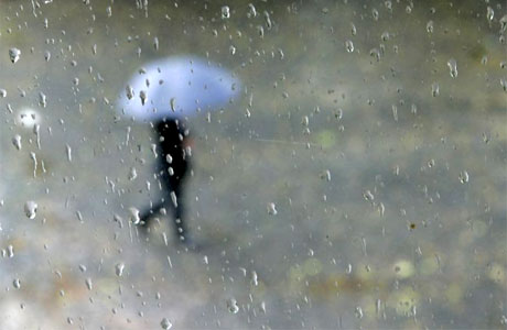 [rain460.jpg]