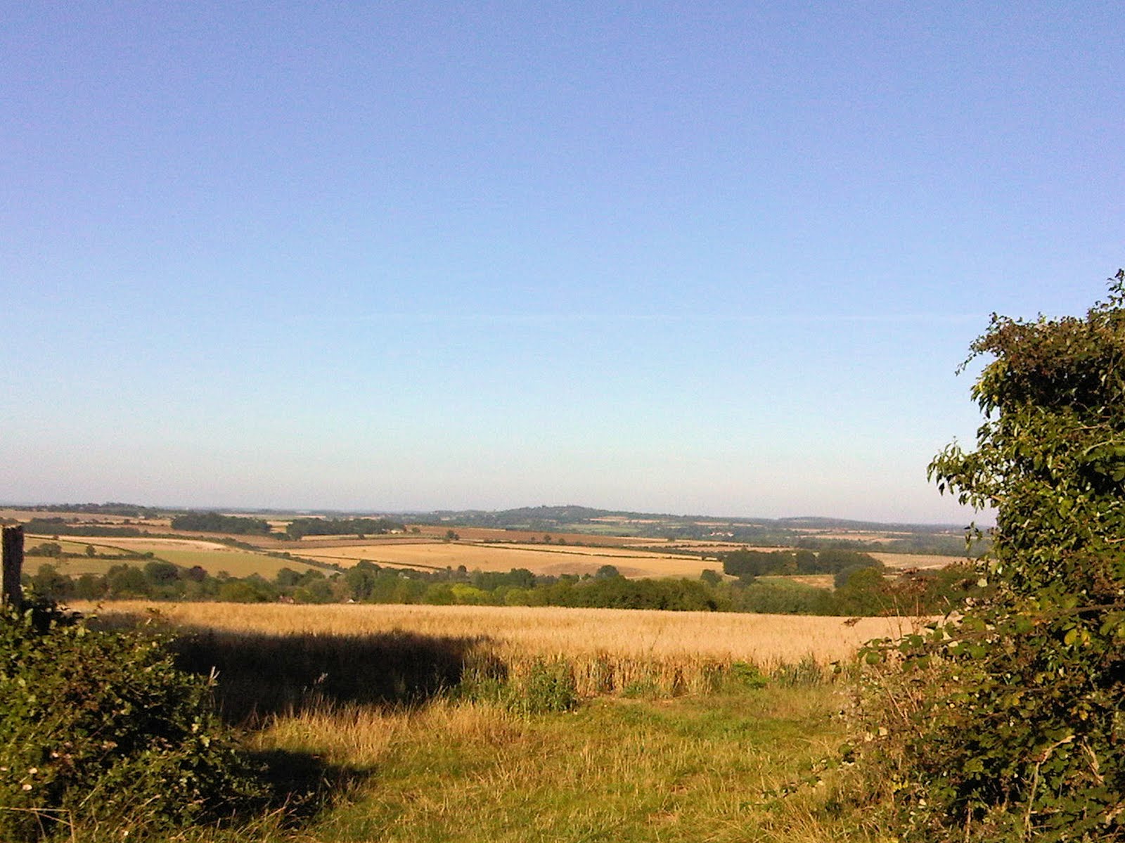 [IMG00678-20090819-1805.jpg]