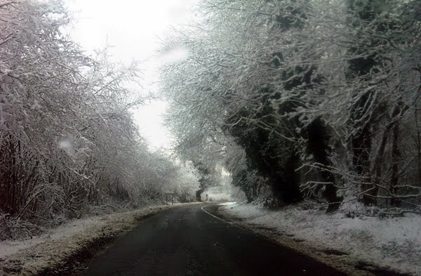 [IMG00119-20091223-1051.jpg]