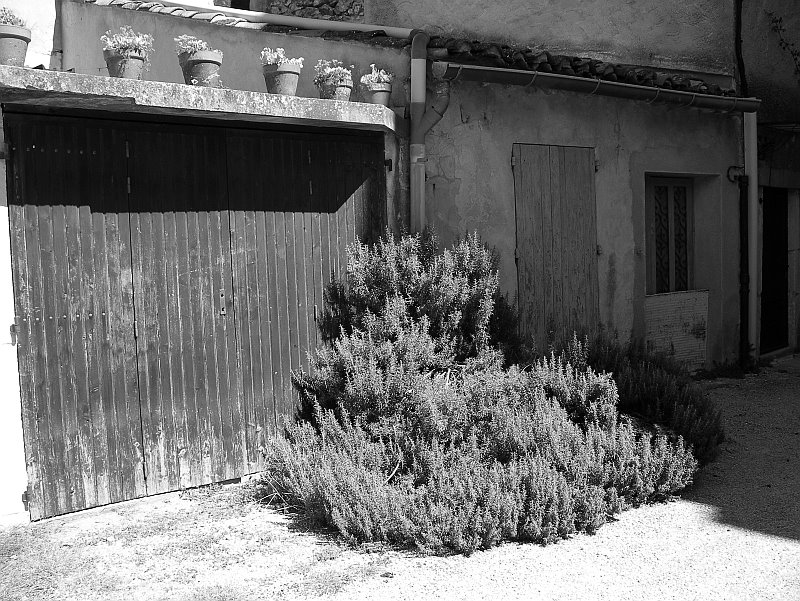 [uzes5.jpg]