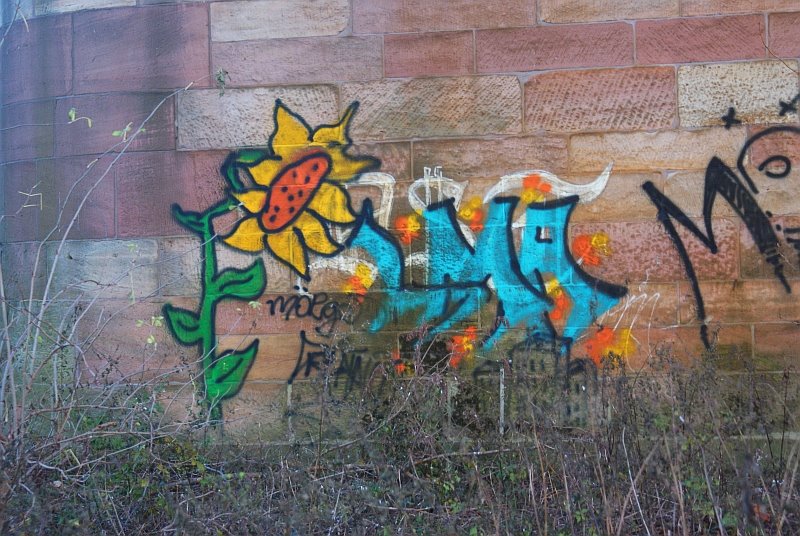 [graffitti5.jpg]