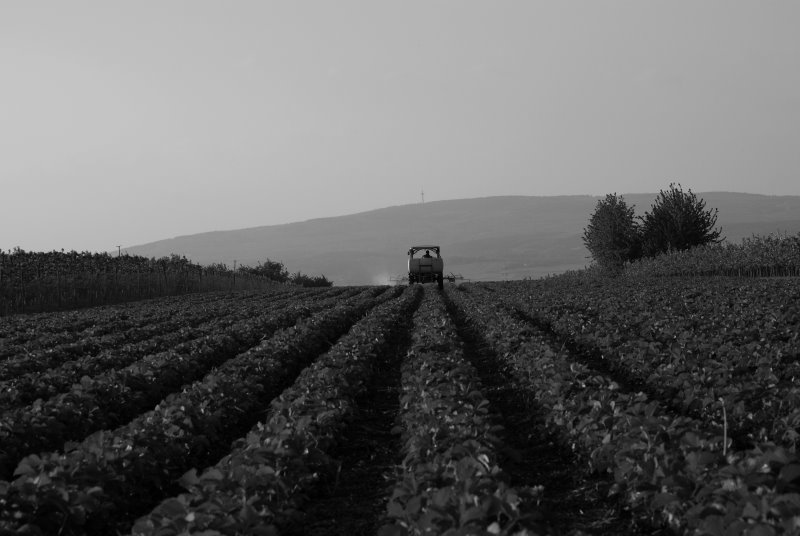 [traktor2.jpg]