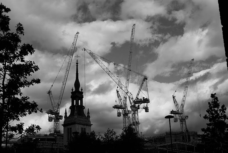 [cranes.jpg]