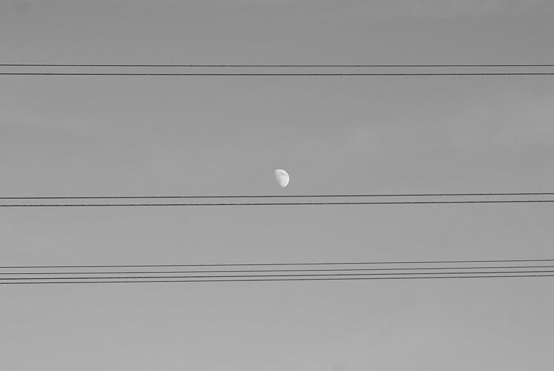 [moon6.jpg]