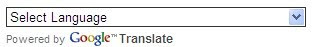 google translate widget for blogger/blogspot