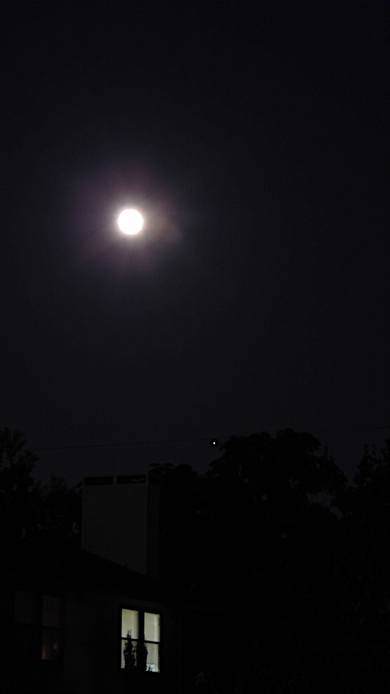 Watch Rocket Compulsion Online Hulu