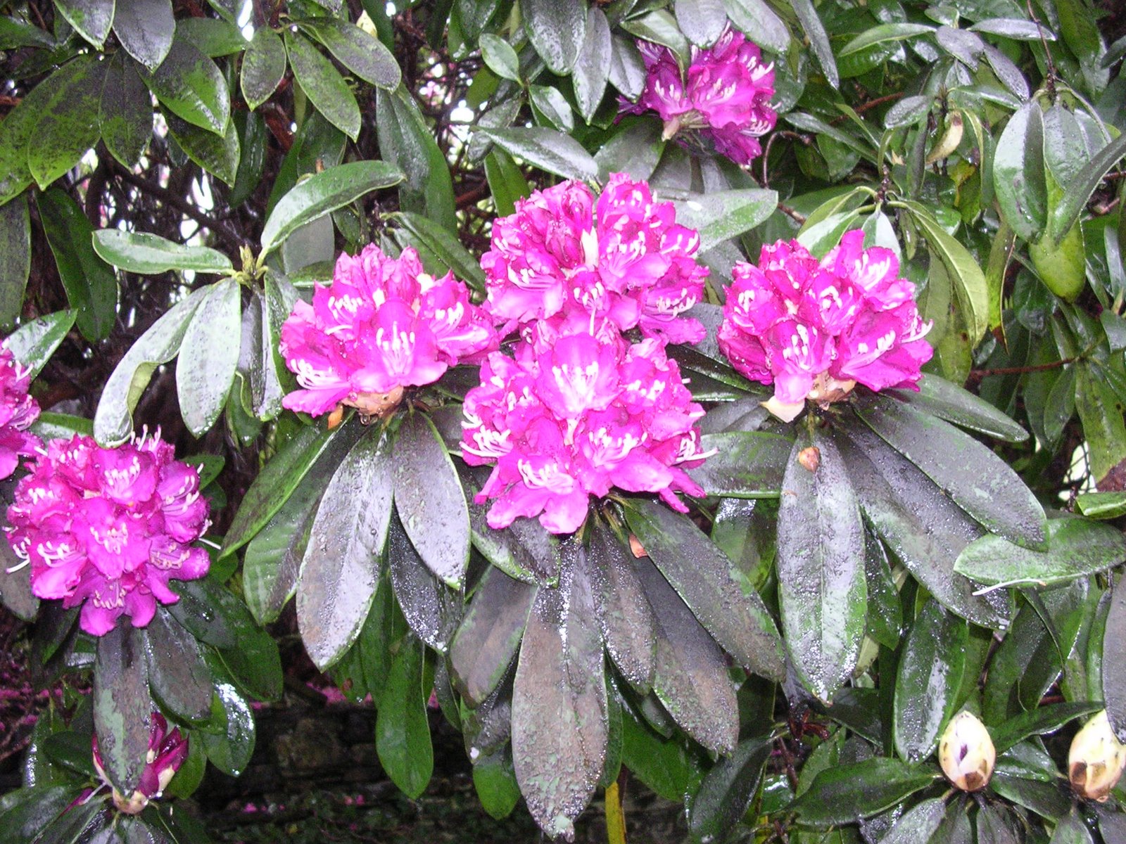 [DSCN6803.JPG]
