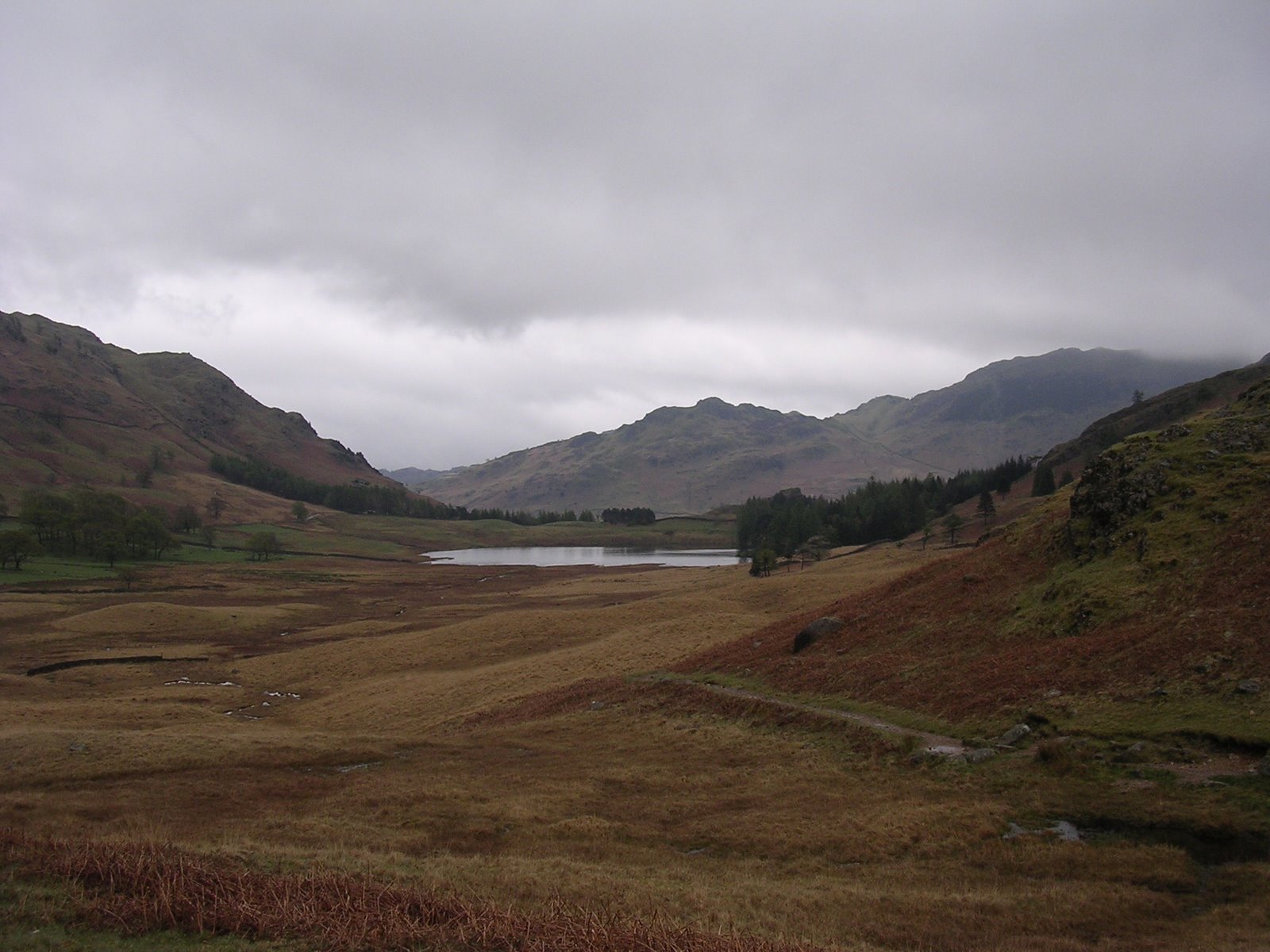 [DSCN6820.JPG]