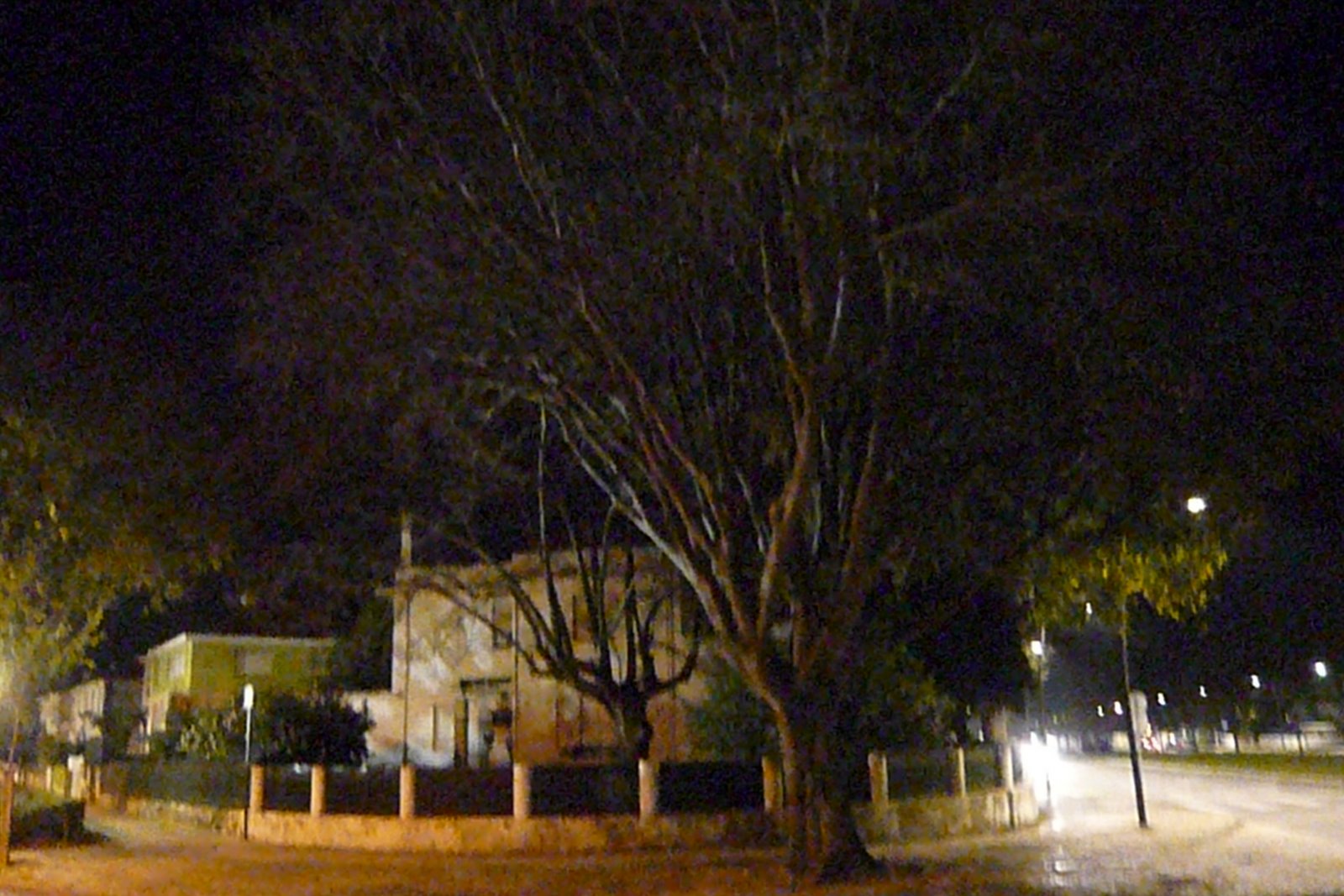 [L1040345.JPG]