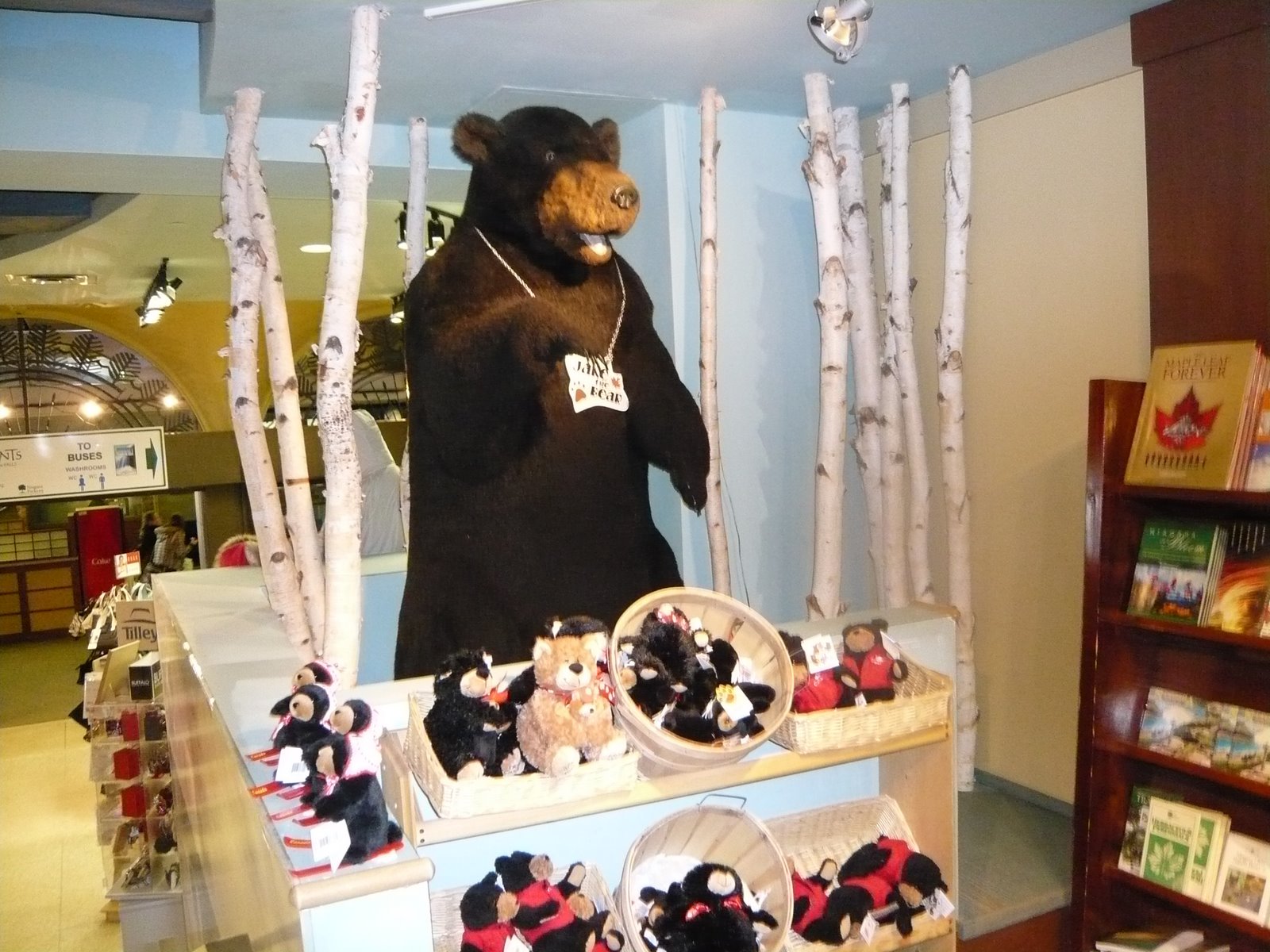 [L1050840.JPG]