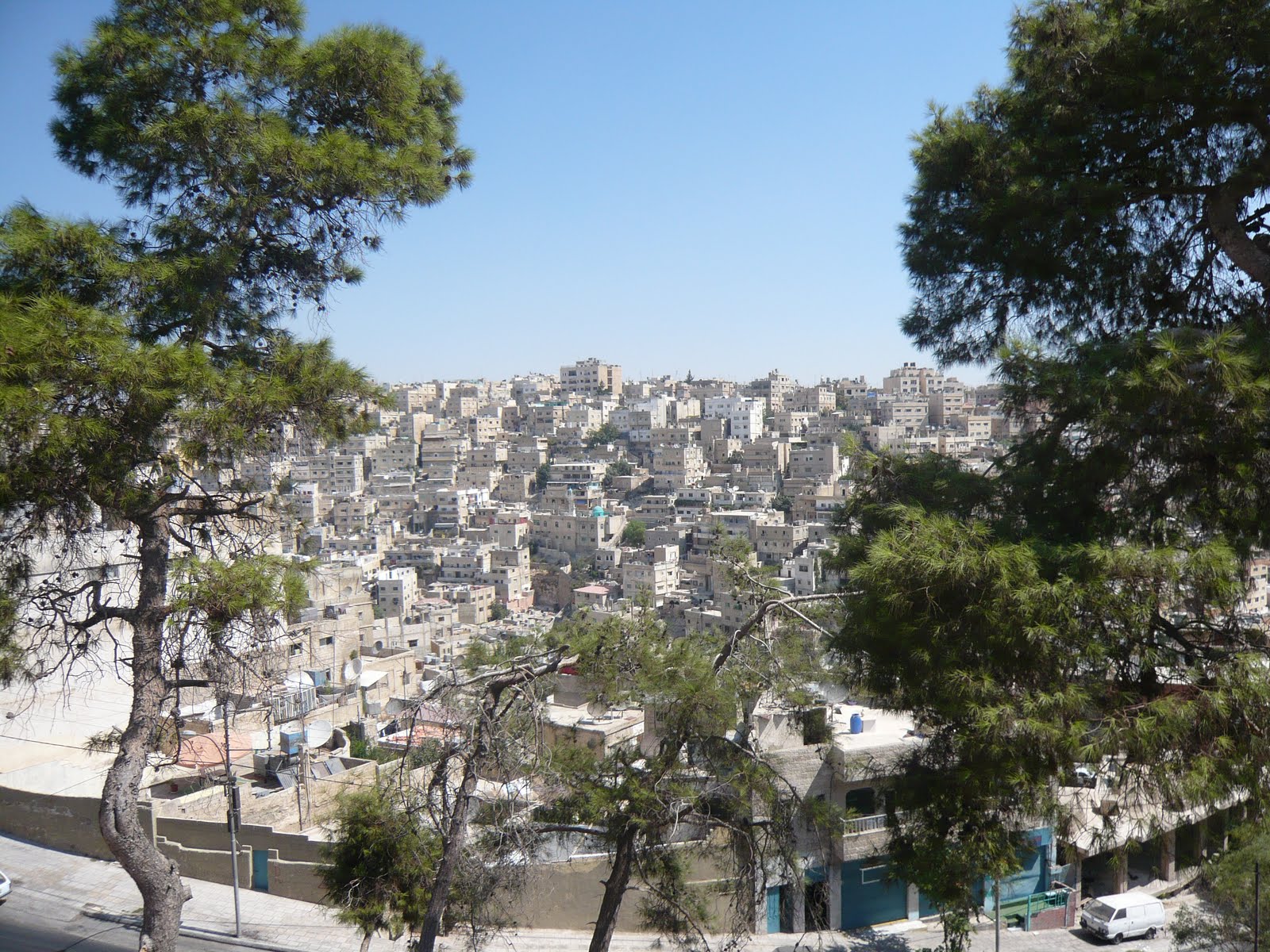 [L1020113.JPG]