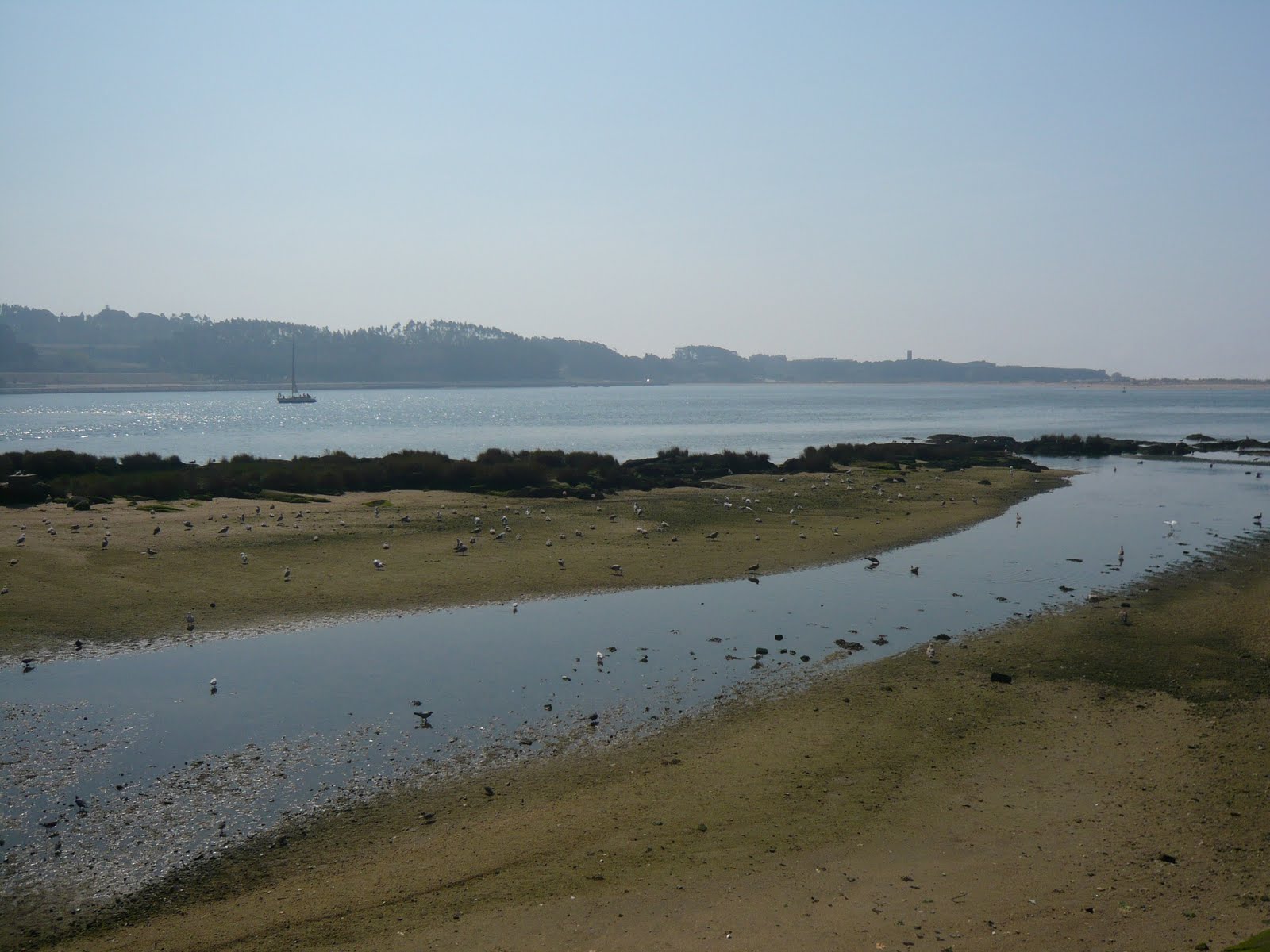 [L1020429.JPG]