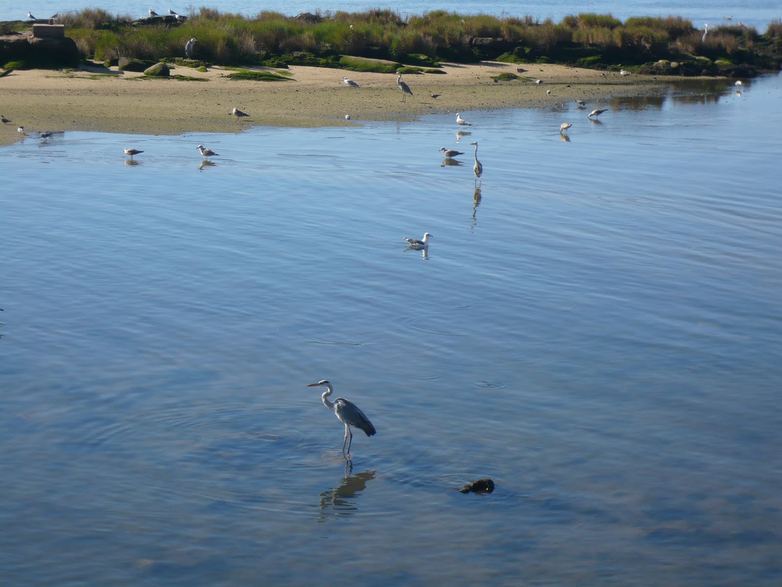 [L1020646.JPG]