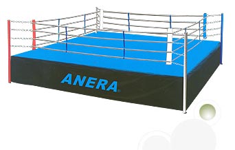 [boxing-ring.jpg]