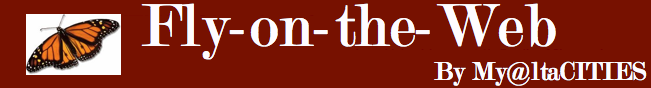 [Fly-on-the-Web] by My@LTACITIES