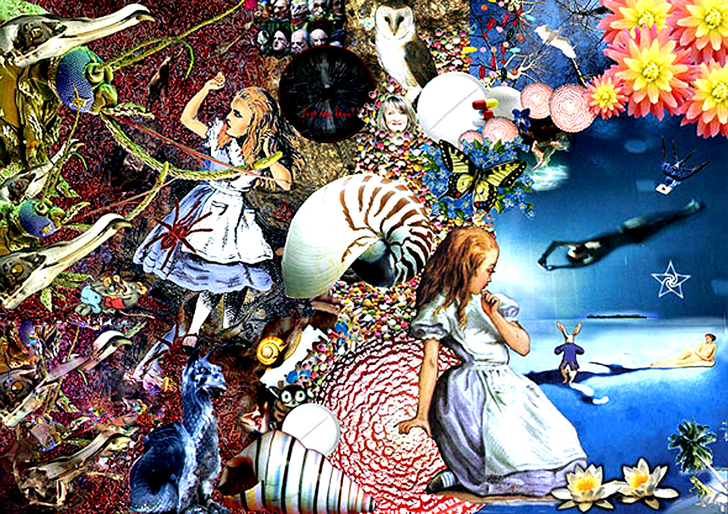 [alice+copy.jpg]