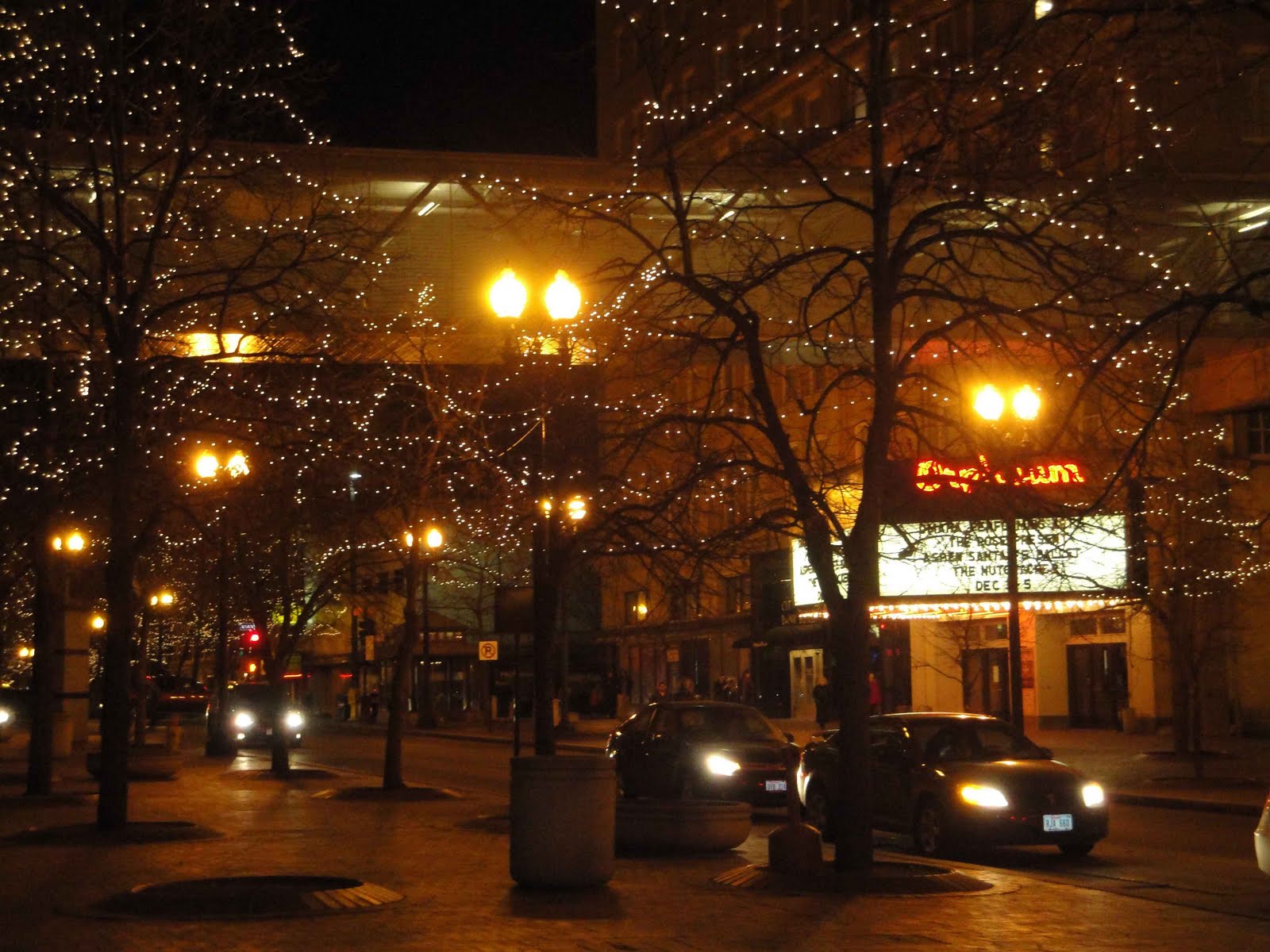 From Nebraska with Love Christmas lights