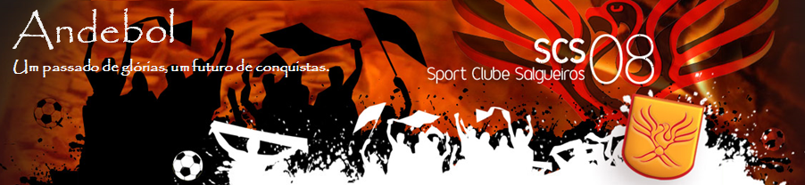 Salgueiros Andebol